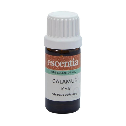 ESCENTIA - Calamus Essential Oil - 10ml | One Life Health