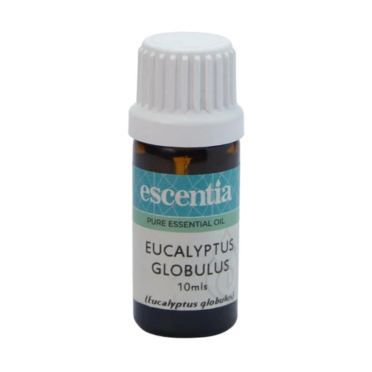 ESCENTIA - Eucalyptus Globulus Essential Oil - 10ml | One Life Health