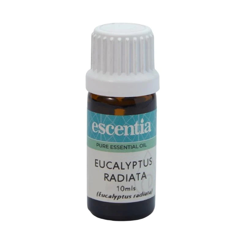 ESCENTIA - Eucalyptus Radiata Essential Oil - 10ml | One Life Health