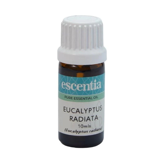 ESCENTIA - Eucalyptus Radiata Essential Oil - 10ml | One Life Health