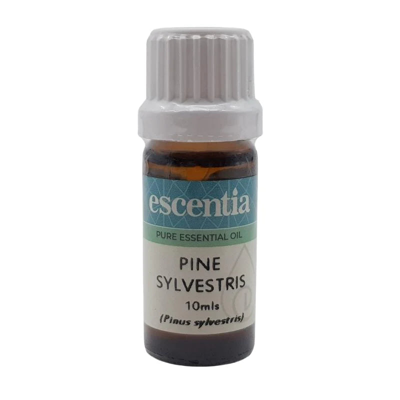 ESCENTIA - Pine (Sylvestris) Essential Oil - 10ml | One Life Health