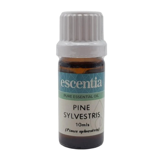 ESCENTIA - Pine (Sylvestris) Essential Oil - 10ml | One Life Health