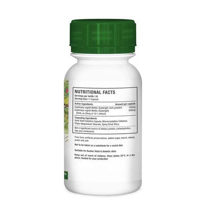 NUTRIHERB - Eyebright 60 Capsules | One Life Health