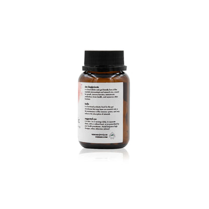 VERHAKI - Zynbiotic - 60 Capsules