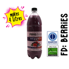 HIGH ON LIFE - Berries Concentrate  - 1L