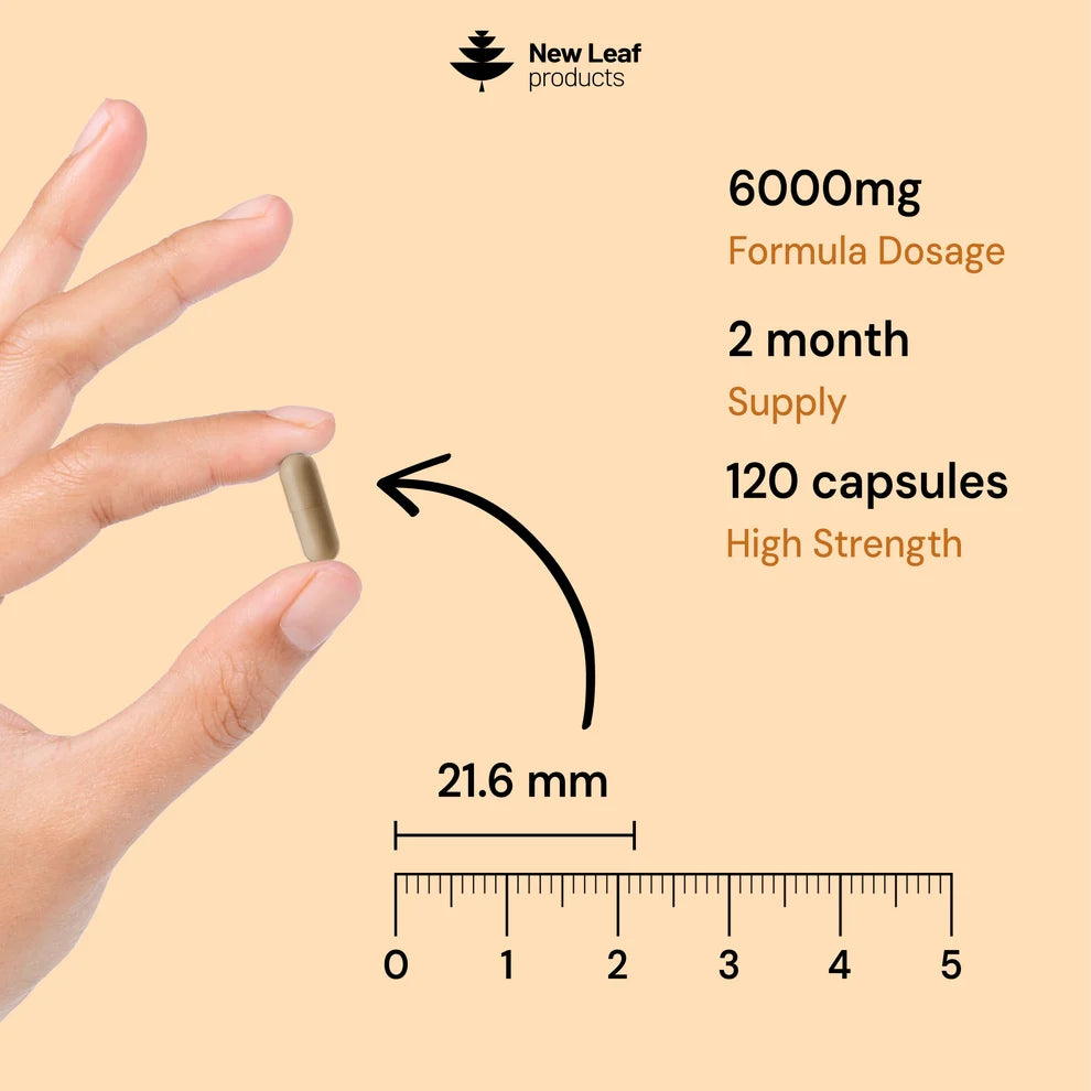 NEW LEAF - Shilajit, Sea Moss & Lion's Mane - 120 Capsules