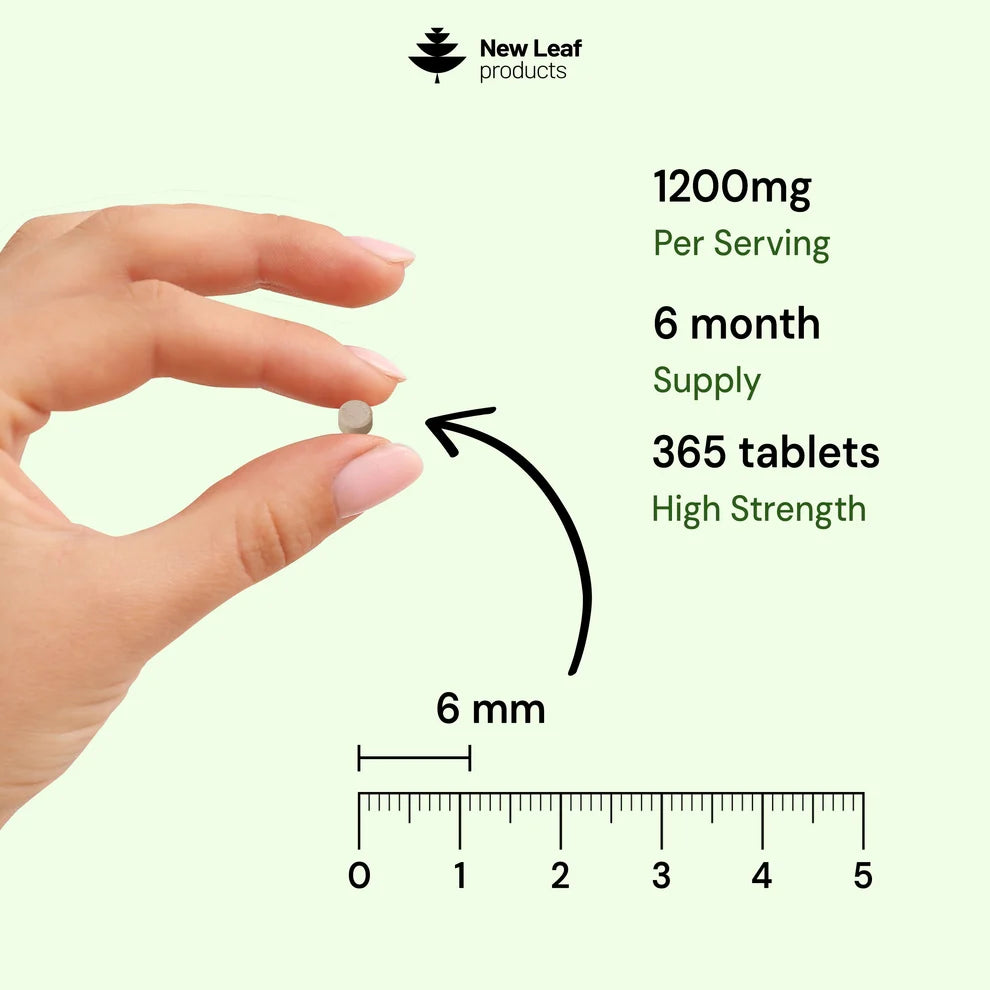 NEW LEAF - Ashwagandha KSM-66 1200mg - 365 Tablets
