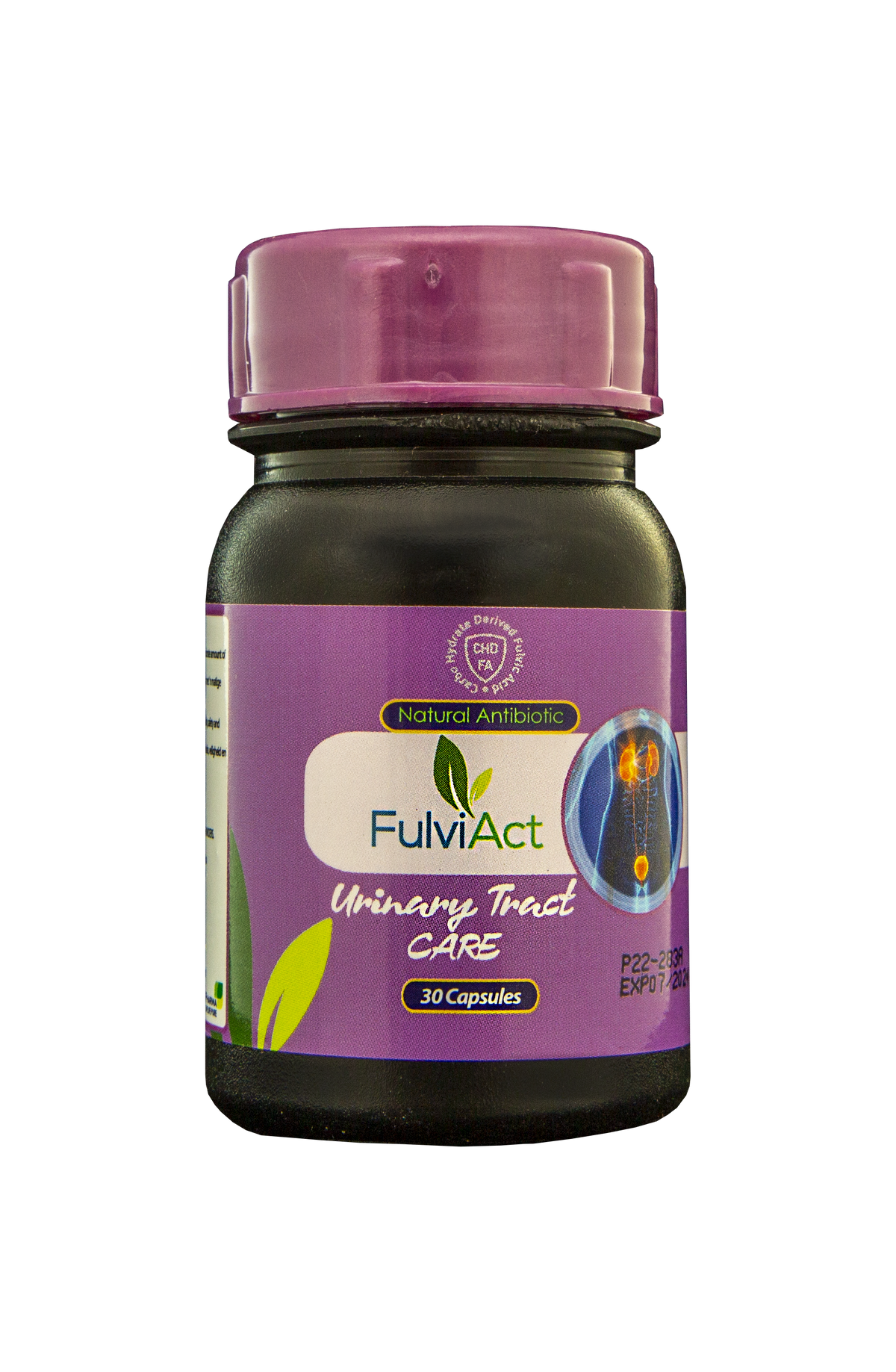 CREDENCE PHARMA - FulviAct UTC - 30 Capsules | One Life Health