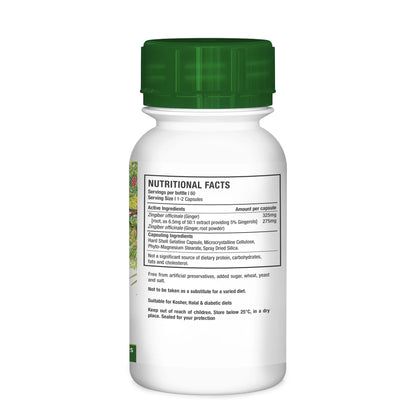 NUTRIHERB - Ginger 60 Capsules | One Life Health