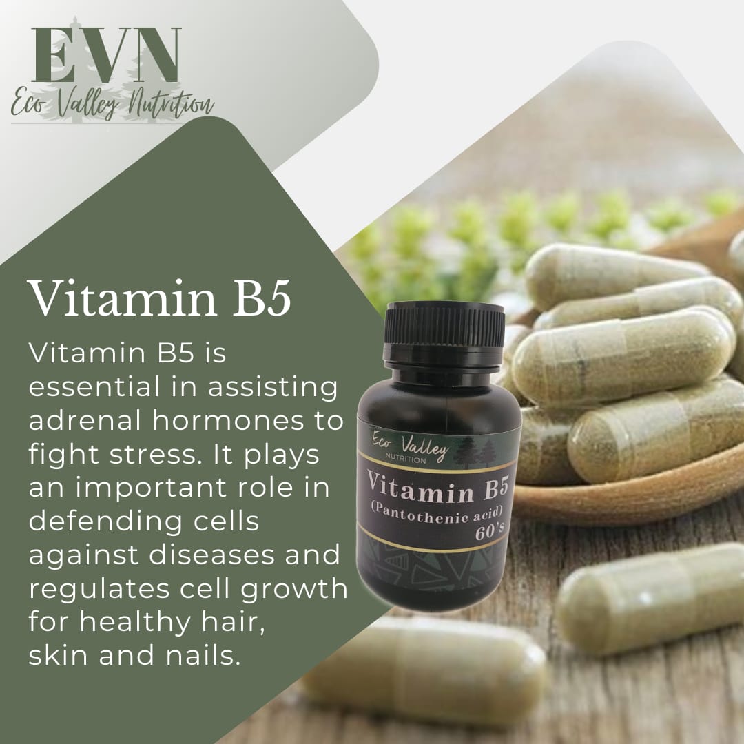 ECO VALLEY NUTRITION - Vitamin B5 Pantothenic Acid - 60 Capsules | One Life Health