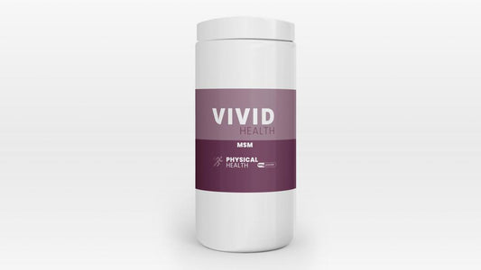VIVID HEALTH - VIVID BODY - MSM 500g | One Life Health