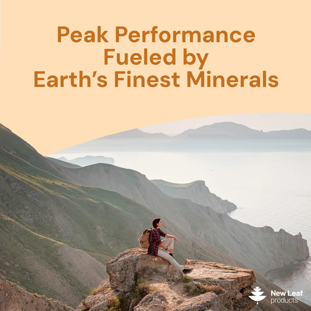 NEW LEAF - Shilajit, Sea Moss & Lion's Mane - 120 Capsules