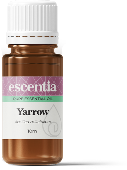 ESCENTIA - Yarrow Essential Oil - 10ml | One Life Health