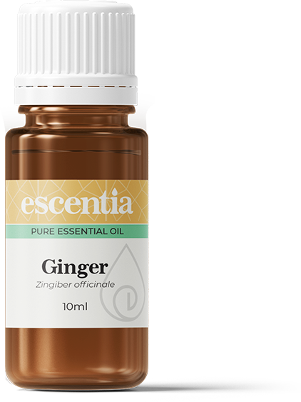 ESCENTIA - Ginger Essential Oil - 10ml | One Life Health