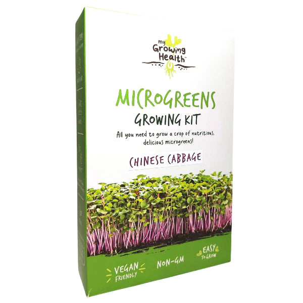 MY GROWING HEALTH - Chinese Cabbage Microgreens Kit | One Life Health