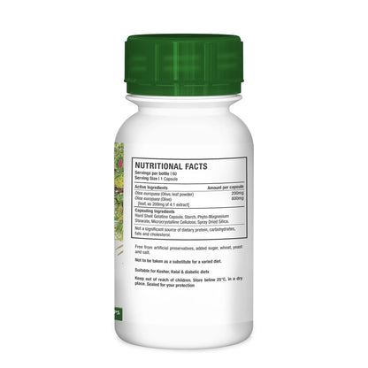 NUTRIHERB - Olive Leaf 60 Capsules | One Life Health