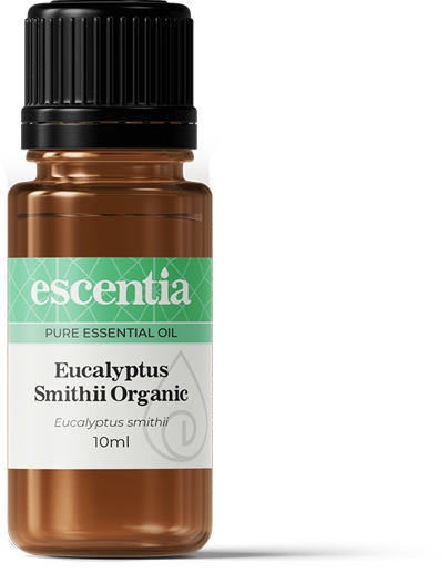 ESCENTIA - Eucalyptus Organic Essential Oil - 10ml | One Life Health