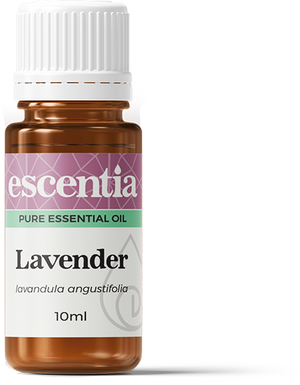 ESCENTIA - Lavender Essential Oil - 10ml | One Life Health