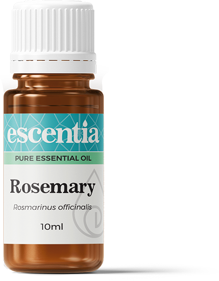 ESCENTIA - Rosemary Essential Oil - 10ml | One Life Health