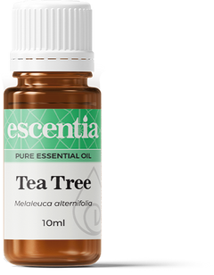 ESCENTIA -Tea Tree Essential Oil - 10ml