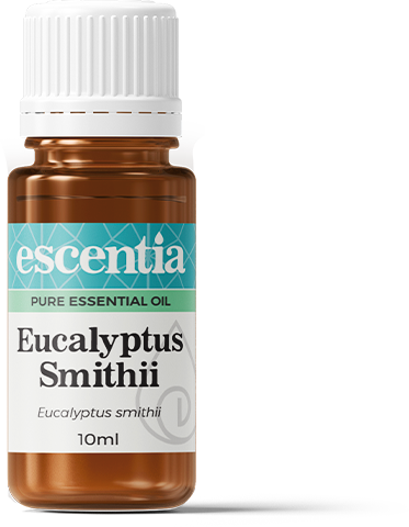 ESCENTIA - Eucalyptus Smithii Essential Oil - 10ml | One Life Health
