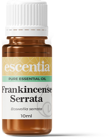 ESCENTIA - Frankincense Serrata Essential Oil - 10ml | One Life Health