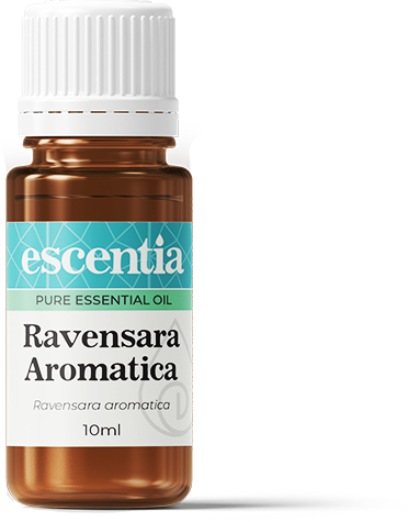 ESCENTIA - Ravensara Aromatica Essentia Oil - 10ml | One Life Health