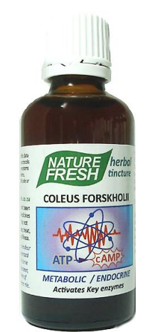 NATURE FRESH - Coleus Forskohlii - 50ml Tincture