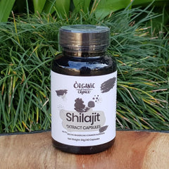 ORGANIC CHOICE - Shilajit - 60 Capsules