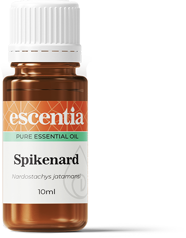 ESCENTIA - Spikenard Essential Oil - 10ml | One Life Health