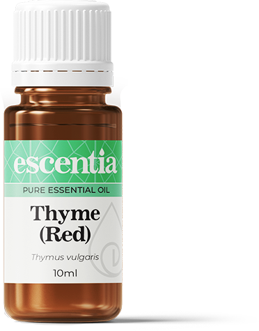 ESCENTIA - Thyme Red Essential Oil - 10ml | One Life Health