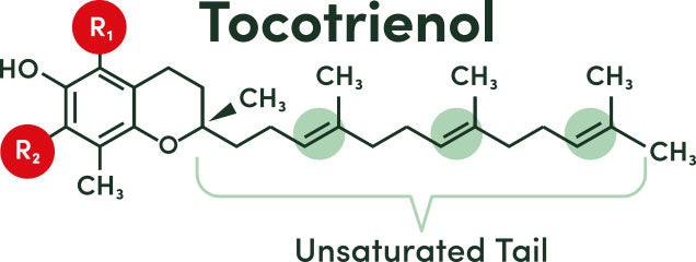 ETERNA - Vitamin E – Annatto Delta Fraction Tocotrienols - 30 Soft Gels | One Life Health