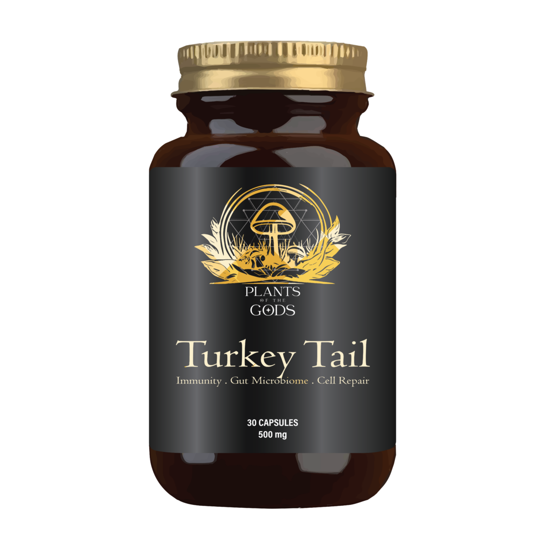 PLANTS OF THE GODS - Turkey Tail Extract 10:1 500mg - 30 Capsules | One Life Health