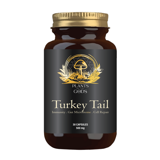 PLANTS OF THE GODS - Turkey Tail Extract 10:1 500mg - 30 Capsules | One Life Health