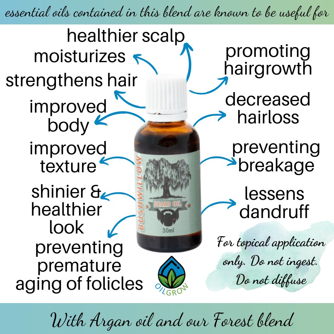 BUSHWILLOW - Beard Oil - 30ml | One Life Health