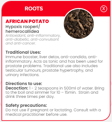 PHARMA GERMANIA - African Potato - 100g | One Life Health