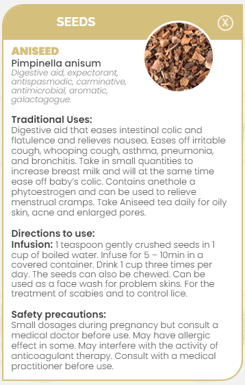 PHARMA GERMANIA - Aniseed - 100g | One Life Health