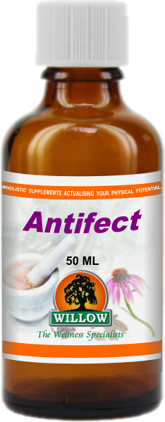 WILLOW - Antifect - 50ml | One Life Health
