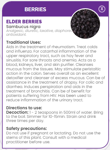 PHARMA GERMANIA - Elder Berries - 100g | One Life Health
