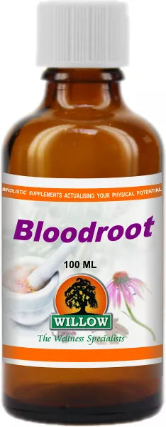 WILLOW - Bloodroot - 100ml | One Life Health