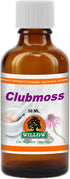 WILLOW - Clubmoss - 50ml