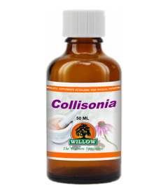 WILLOW - Collinsonia - 50ml
