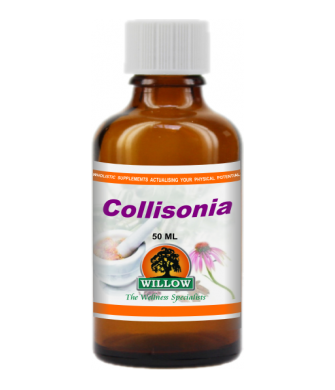 WILLOW - Collinsonia - 50ml | One Life Health