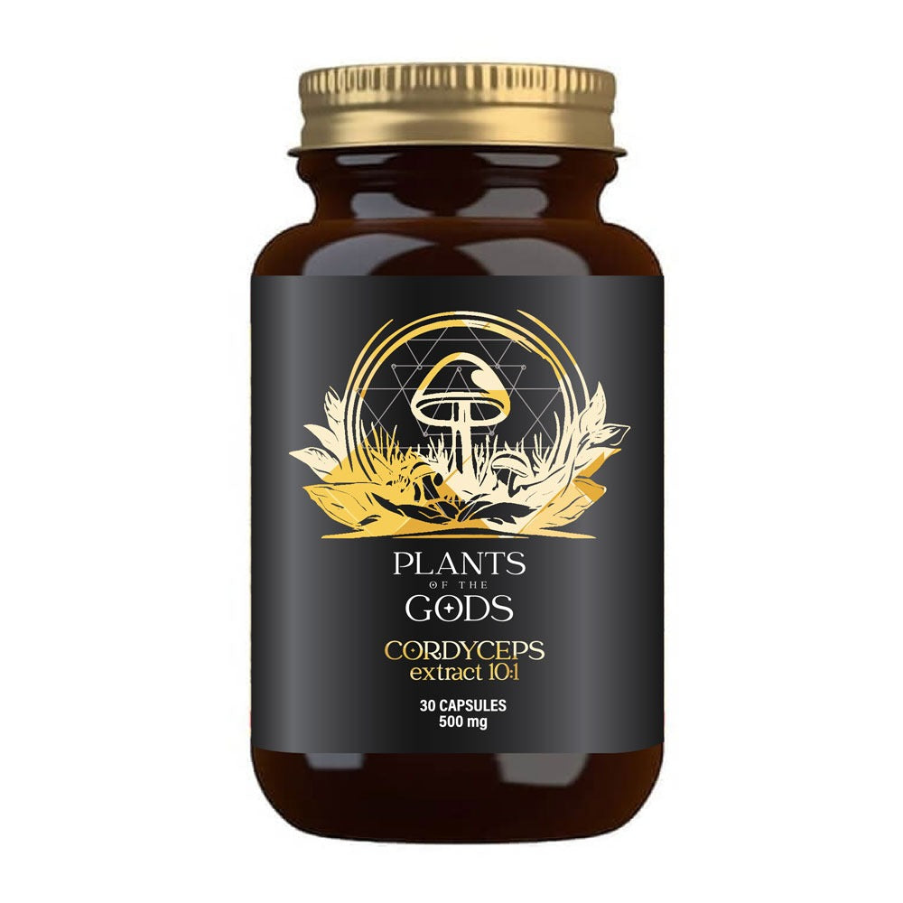 PLANTS OF THE GODS - Cordyceps Extract 10:1 500mg - 30 Capsules | One Life Health