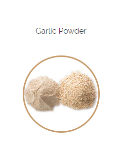 PHARMA GERMANIA - Garlic Powder - 100g | One Life Health