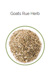 PHARMA GERMANIA - Goats Rue Herb - 75g | One Life Health