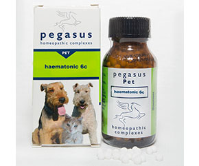 PEGASUS - Pet Haematonic 6c - 100 Pillules | One Life Health