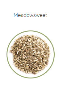PHARMA GERMANIA - Meadowsweet - 100g | One Life Health