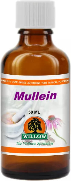 WILLOW - Mullein - 50ml