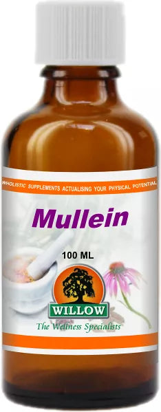 WILLOW - Mullein - 100ml | One Life Health